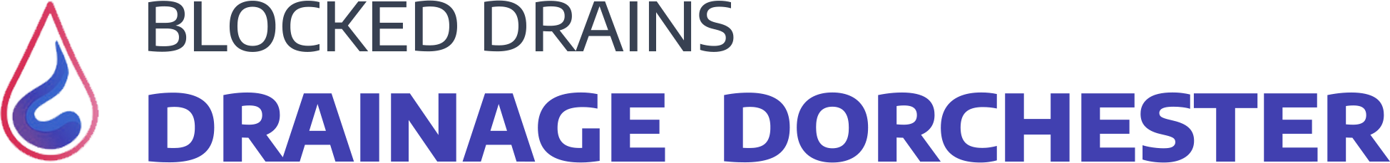 website logo